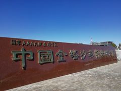 -金塔沙漠胡杨林景区