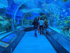 -海合安成都极地海洋公园
