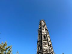 -上海佘山国家森林公园天马山园