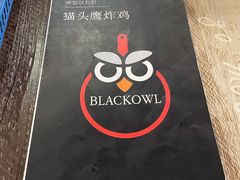-猫头鹰炸鸡