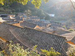-杨家堂村