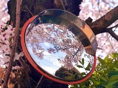 -成都濑川外国语学校