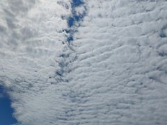 -大理洱源西湖景区