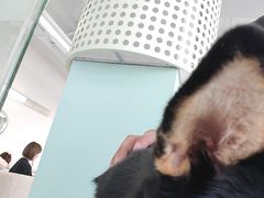 -怪兽屋·羊驼·猫咖·狗咖(俊华广场店)