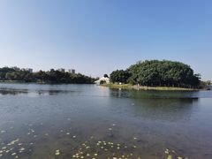 -映月湖公园