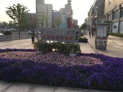 -沙洲路步行街(长安南路店)