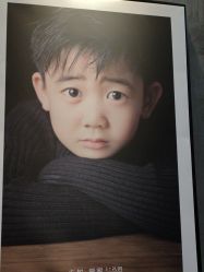 -大树儿童摄影