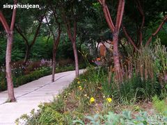 -长春公园(普阳街道)