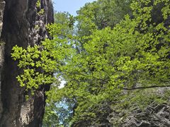-牛背梁国家森林公园