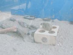 -无锡动物园·太湖欢乐园
