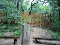 -大青沟风景区