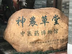 -广州神农草堂中医药博物馆