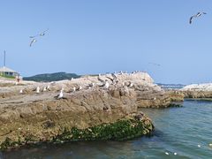 -长岛南北长山旅游景区