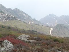 -秦岭风景区