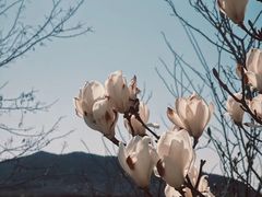 -羊亭河湿地公园