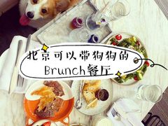 -the rug 飞毯 (朝阳公园店)
