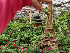 -南宫五洲植物乐园