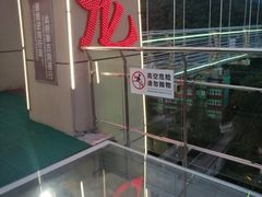 -客天下恐龙水晶玻璃桥