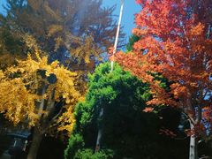 -辽宁大学(崇山校区)