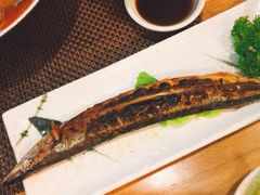 -樱の千渡日式料理·铁板烧•烧鸟(金盛田广场店)