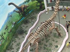 -辽宁古生物博物馆
