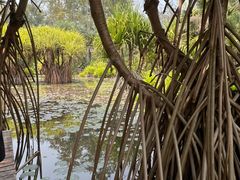 -中国科学院西双版纳热带植物园