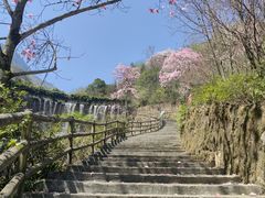 -九皇山景区