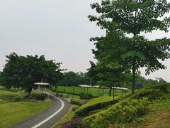 -国际非物质文化遗产博览园