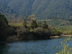 -侘山民宿(杭州西湖龙坞店)