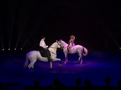 -珠海横琴长隆《卡卡虎奇遇记》