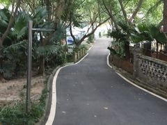 -巴山一绝烤全羊(三圣乡刘家花园店)