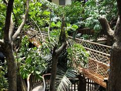 -正佳雨林生态植物园