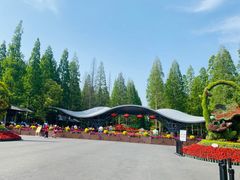 -东平国家森林公园