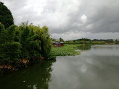 -洛龙公园