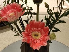 -红林食府