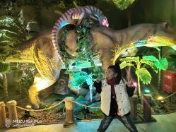 -恐龙探索乐园(磁器口店)