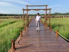 -塞罕坝国家级自然保护区