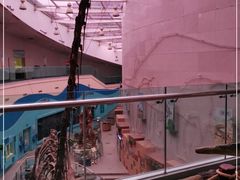 -陕西自然博物馆