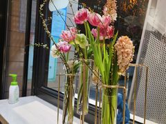 -双风车咖啡馆 Twin Windmills(六道口店)