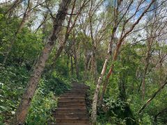 -白草畔自然风景区