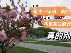 -上海月湖雕塑公园
