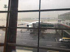 -博莱国际机场
