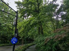 -杭州植物园