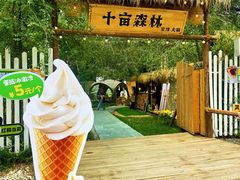 -十亩森林