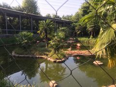 -浙北大峡谷