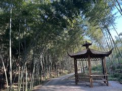 -天花井景区