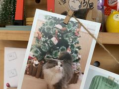 -Catmate·猫肥家润(金润铂宫店)