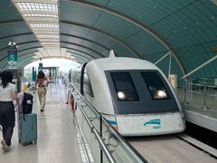 -龙阳路磁悬浮列车总站-停车场