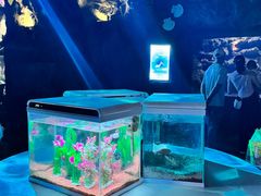 -南昌融创海世界