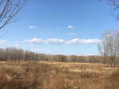 -东郊湿地公园